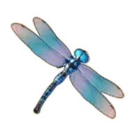 Dragonfly symbol
