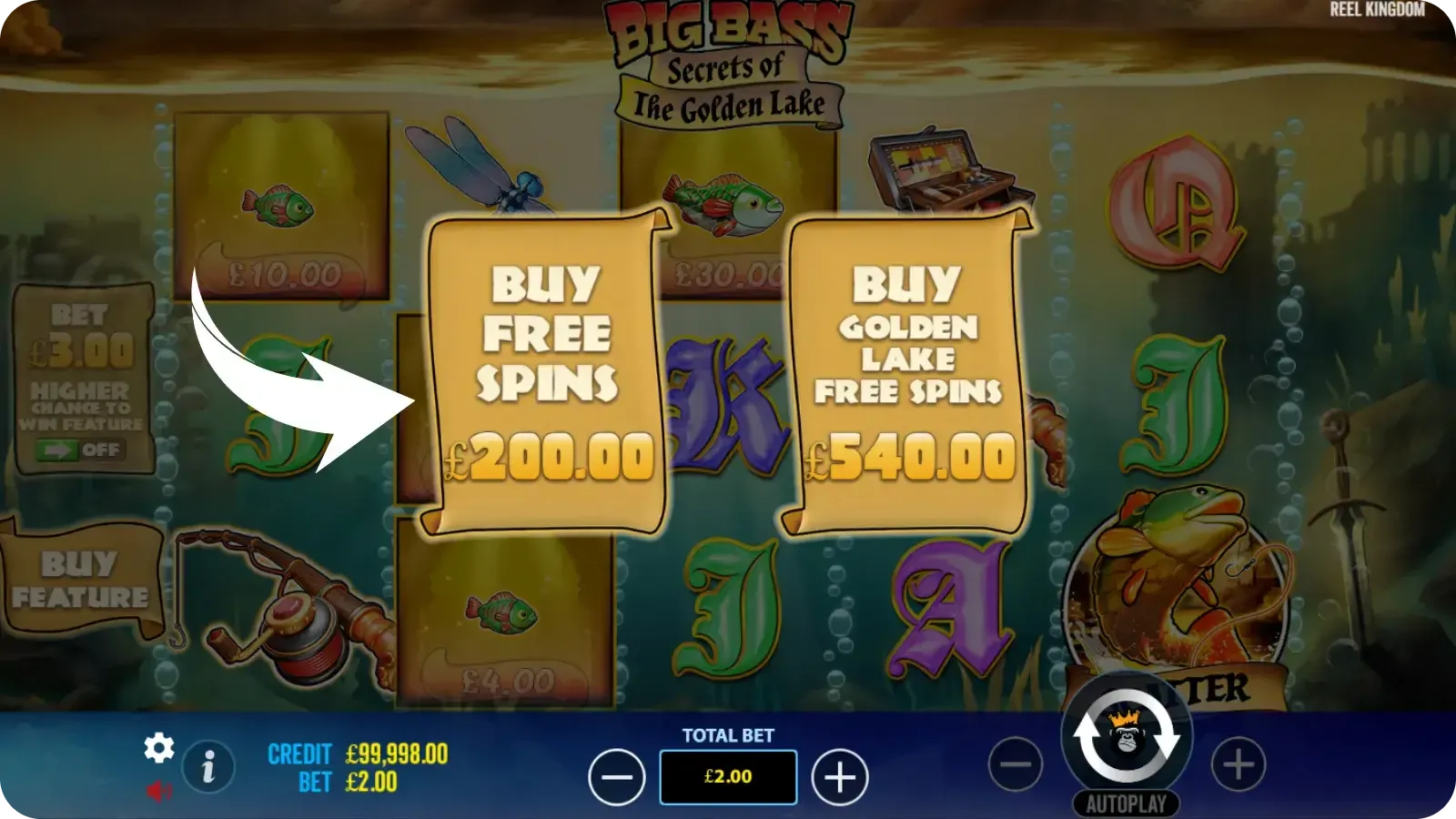Buy Free Spins Round in Big Bass Secrets