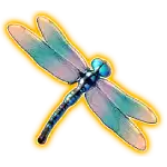 Symbol Dragonfly in Big Bass Secrets